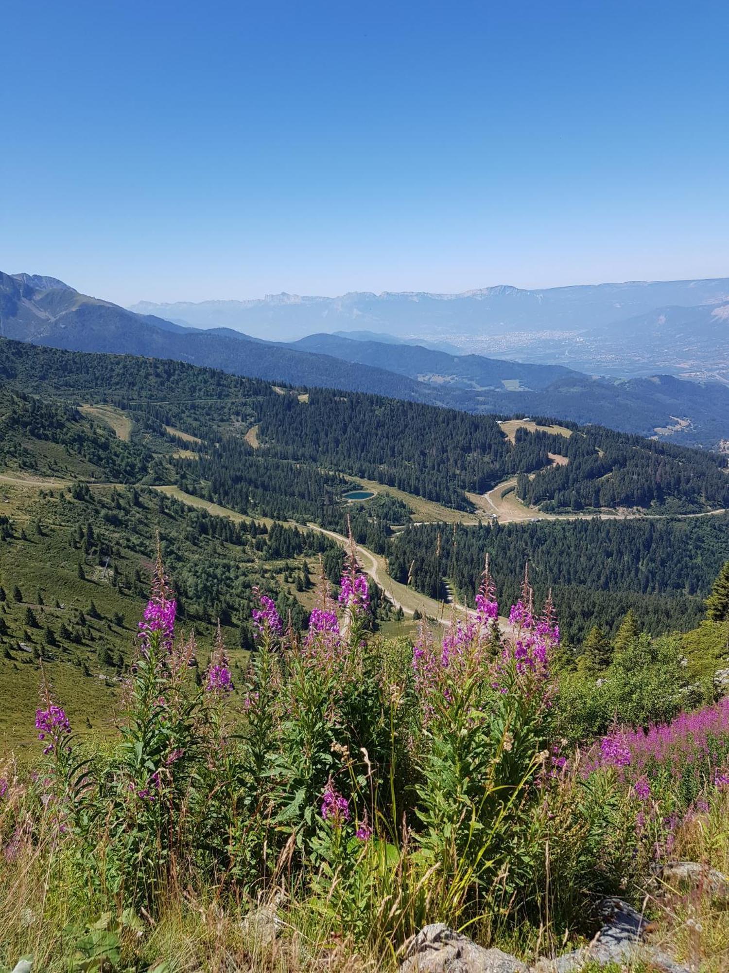 Les 7 Laux Immobilier Chalet E 普拉波特尔 外观 照片