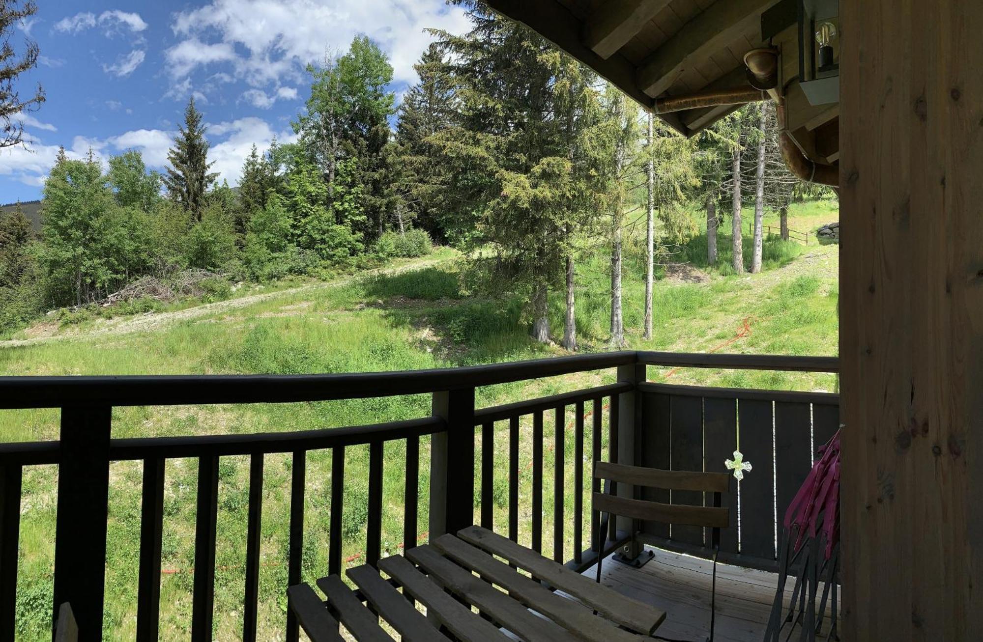 Les 7 Laux Immobilier Chalet E 普拉波特尔 外观 照片