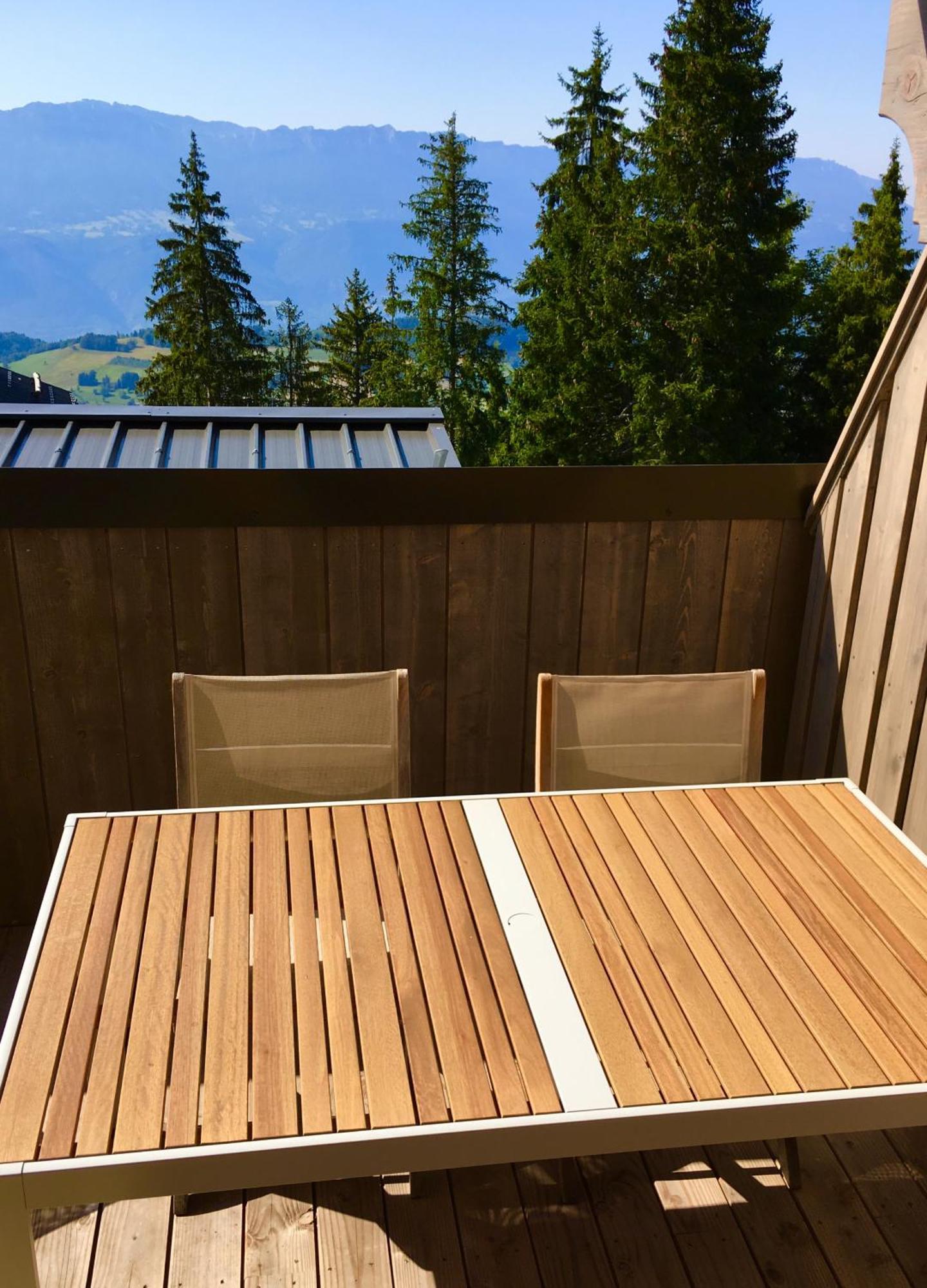 Les 7 Laux Immobilier Chalet E 普拉波特尔 外观 照片